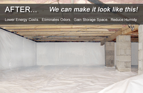All Star Basements- basement waterproofing, foundation repair, crawl space encapsulation, Mud Jacking, concrete leveling and fixing sinking slabs, Radon Testing and Mitigation Services
