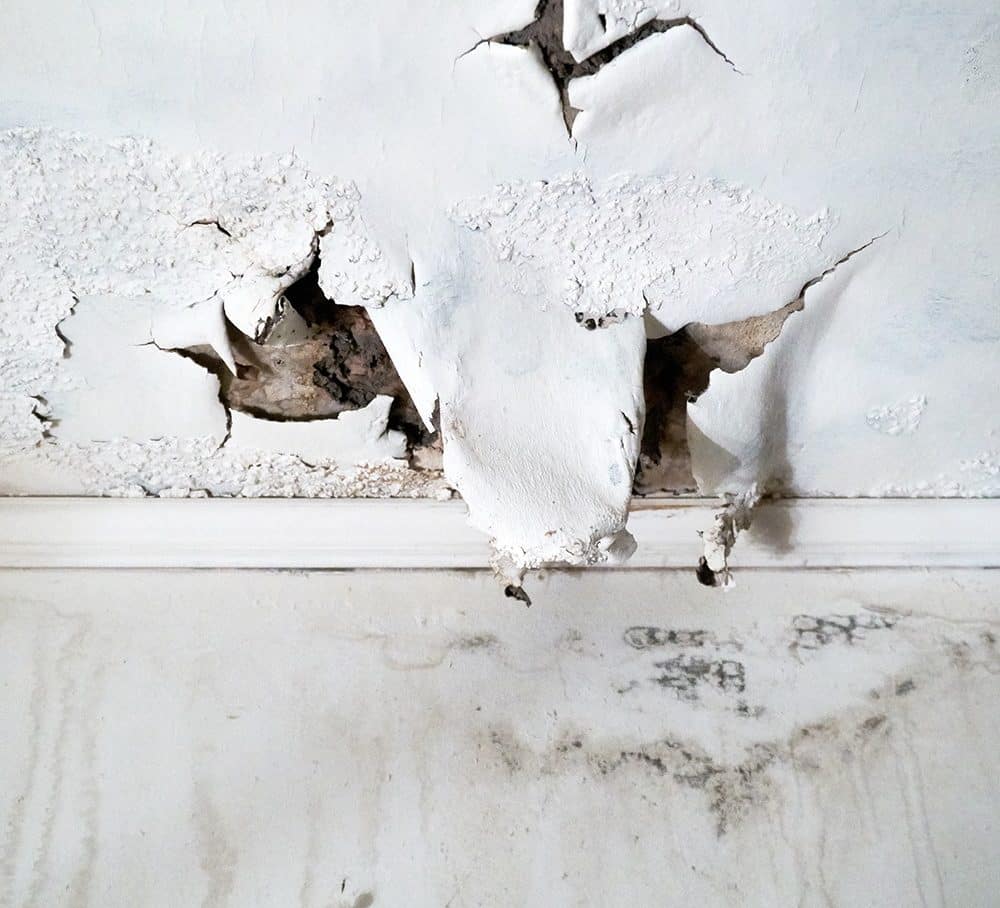 black-mold-in-basement-mason-city-mn-all-star-basements-3