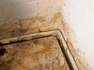 basement-waterproofing-rochester-mn-all-star-basements-1