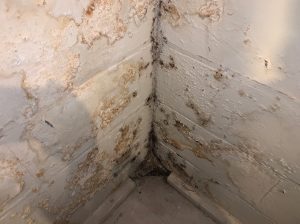 foundation-repair-rochester-mn-all-star-basements-2