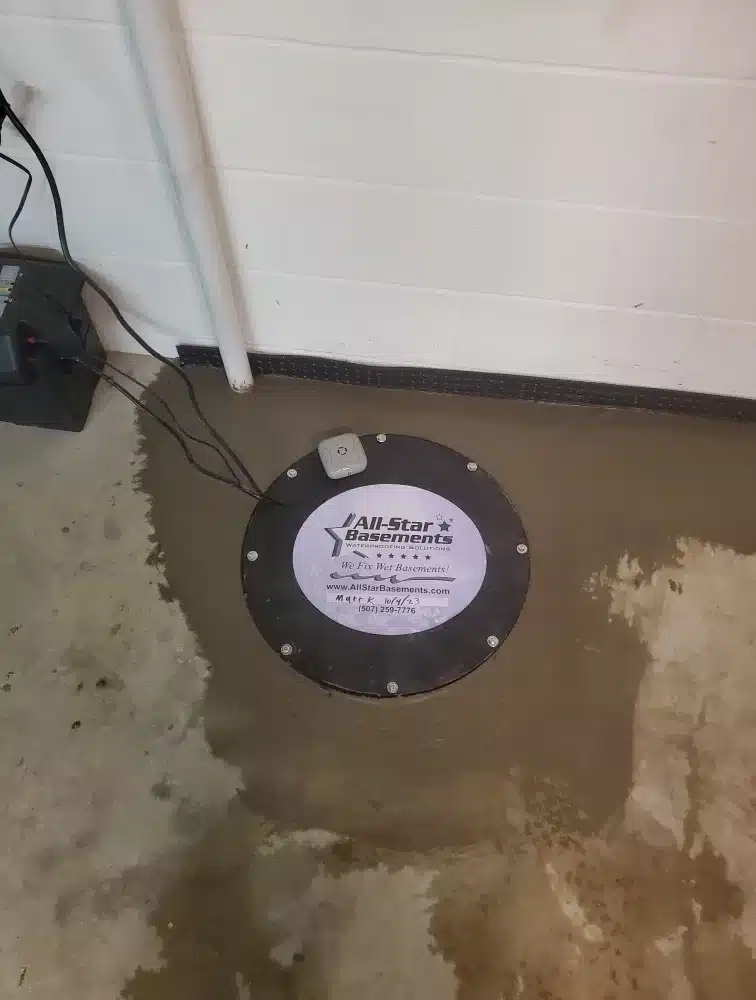 The Essential Role of Sump Pumps in Basements: Why You Should Have One
