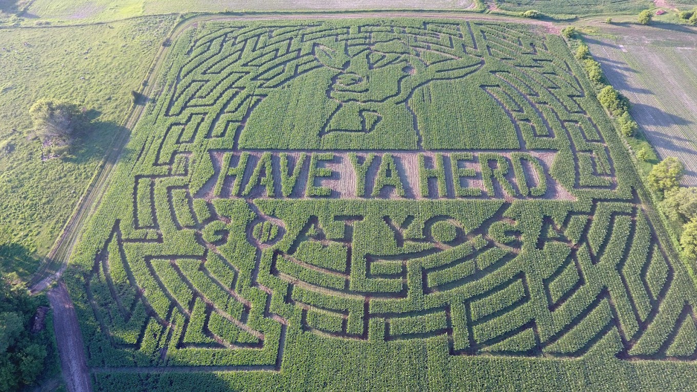 Have Ya Herd Goat Yoga & Corn Maze