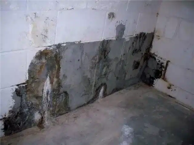 Professional Basement Inspections