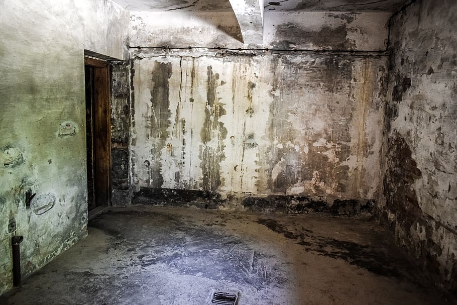 Exploring Professional Basement Waterproofing Methods