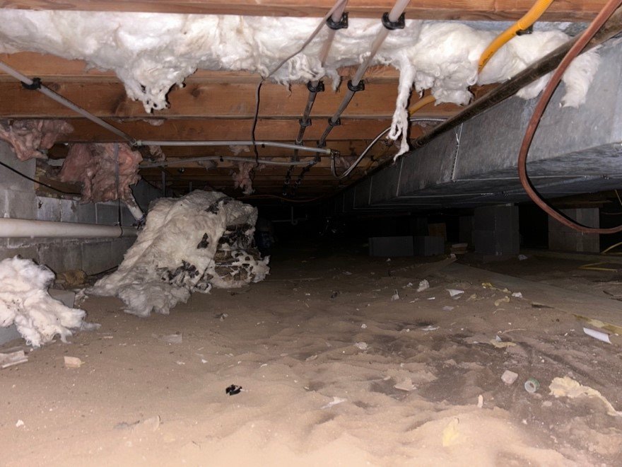 crawlspace-waterproofing-all-star-basements-2
