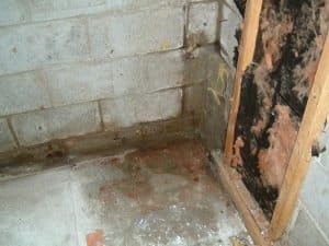 basement-waterproofing-methods-all-star-basements-2