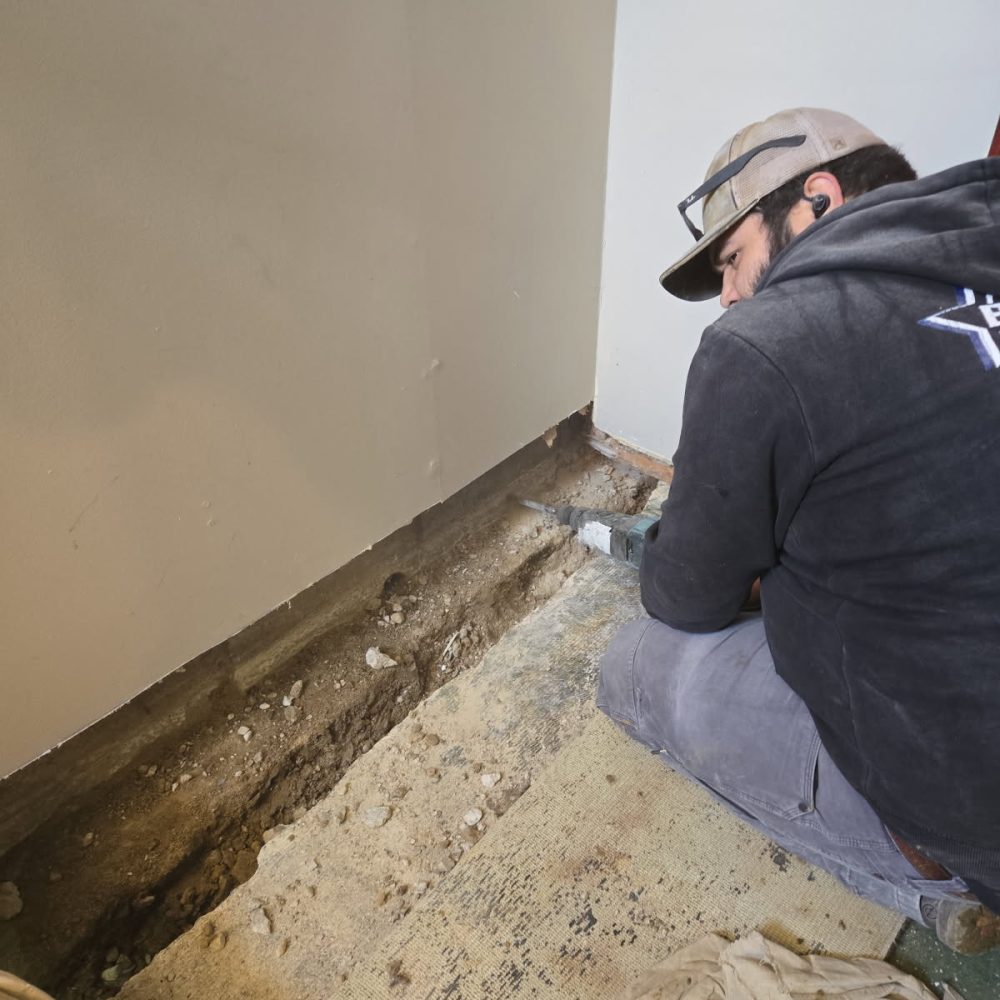 How Basement Waterproofing Helps Prevent Pest Infestations